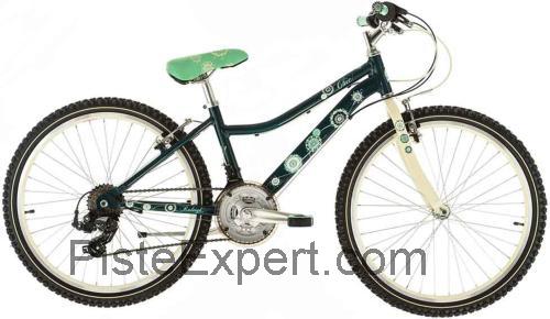 Raleigh Chic avis et fiche technique 